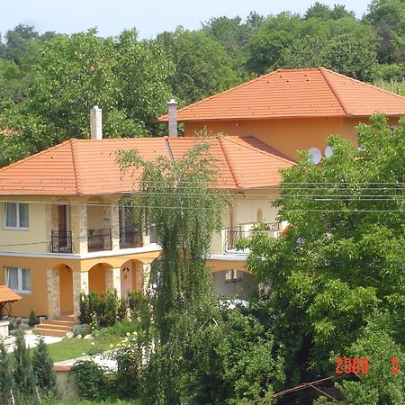 Janus Apartman Sárvár Exteriér fotografie